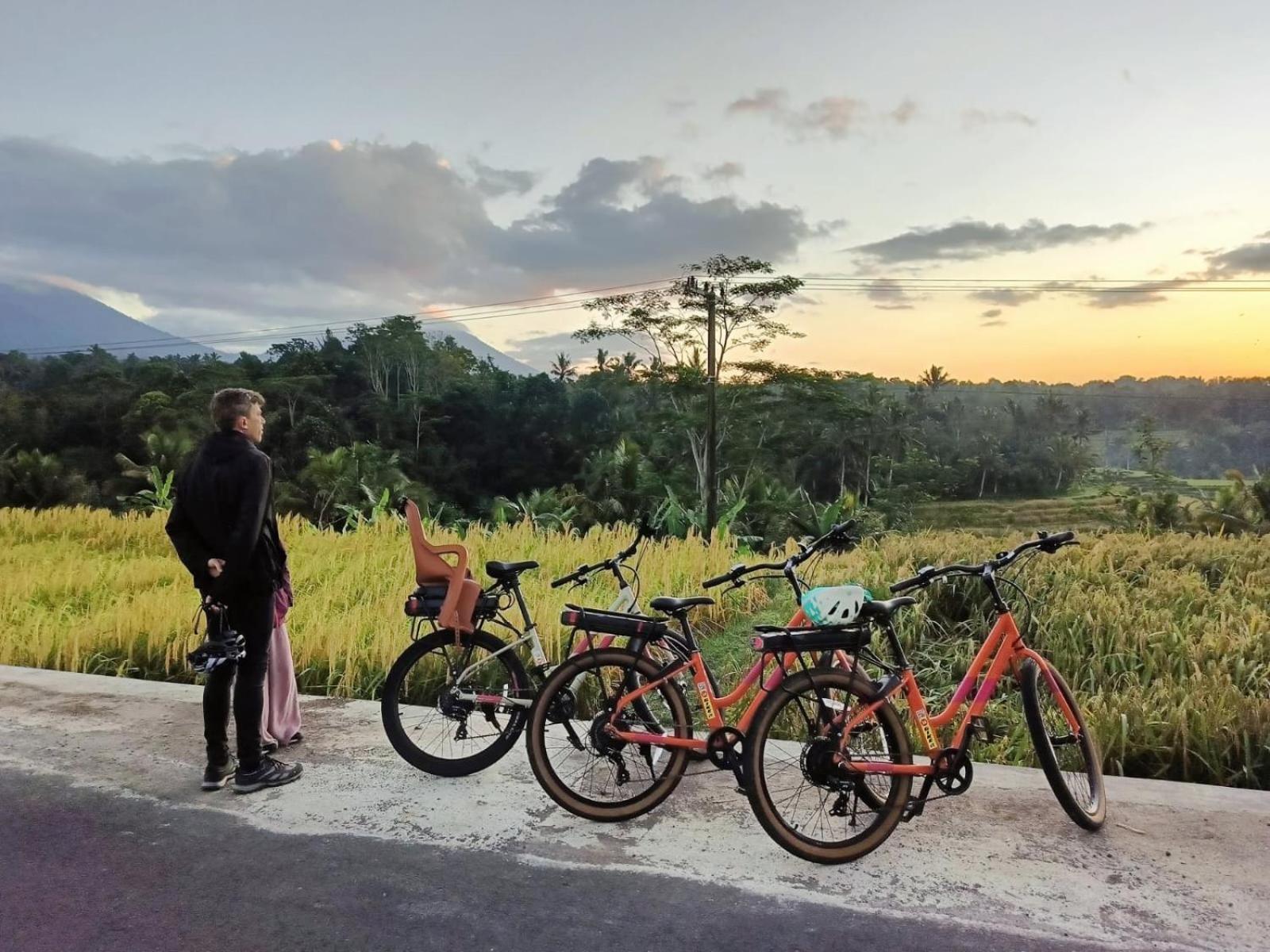Carik Tangis Boutique Homestay Jatiluwih Luaran gambar