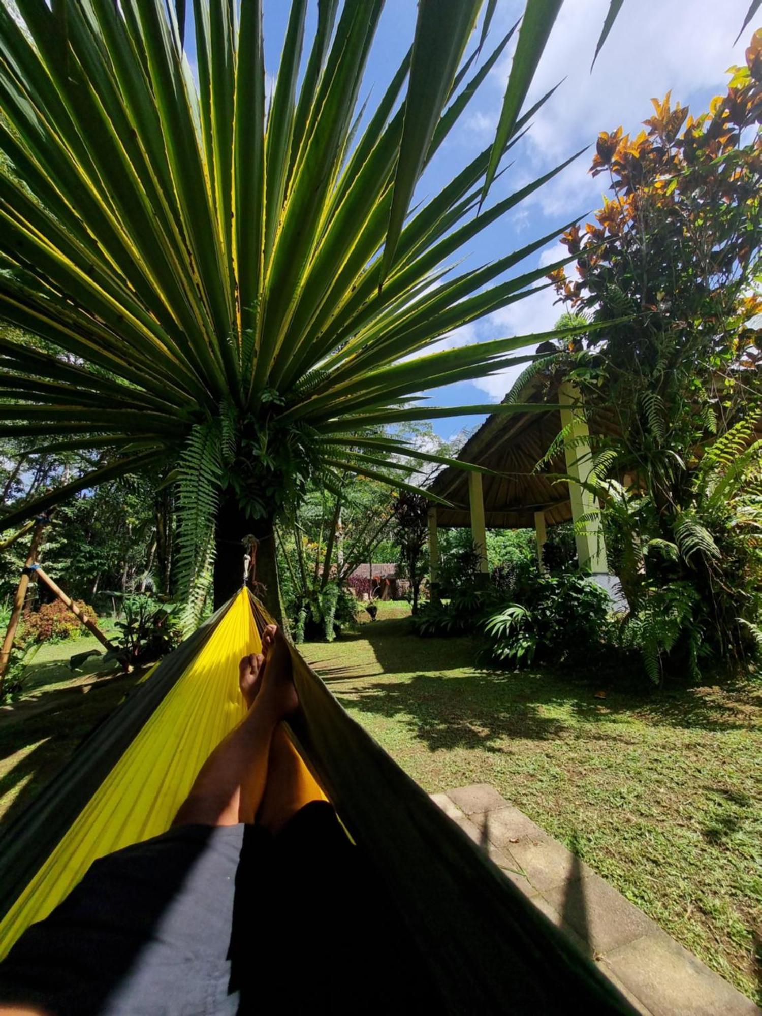 Carik Tangis Boutique Homestay Jatiluwih Luaran gambar