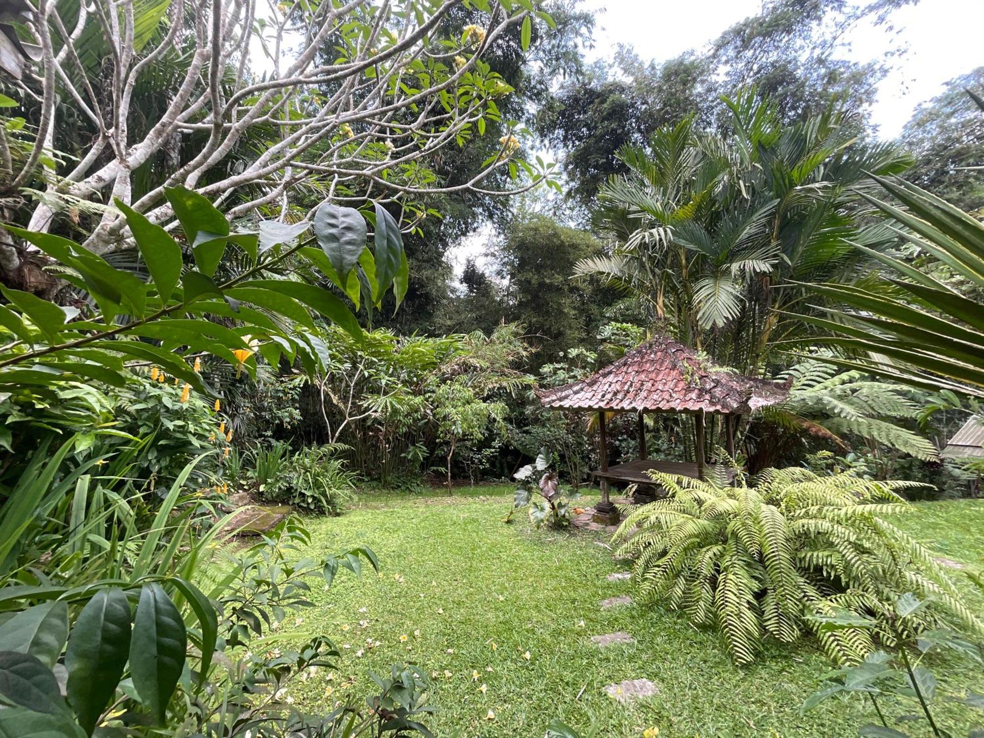 Carik Tangis Boutique Homestay Jatiluwih Luaran gambar