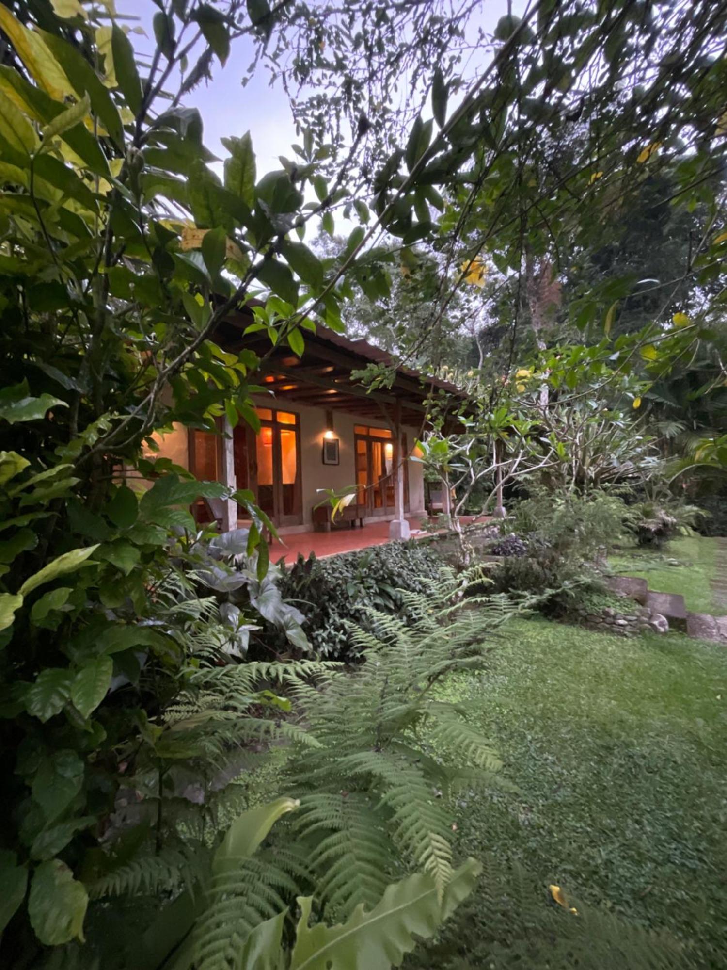 Carik Tangis Boutique Homestay Jatiluwih Luaran gambar