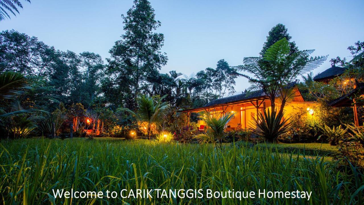 Carik Tangis Boutique Homestay Jatiluwih Luaran gambar